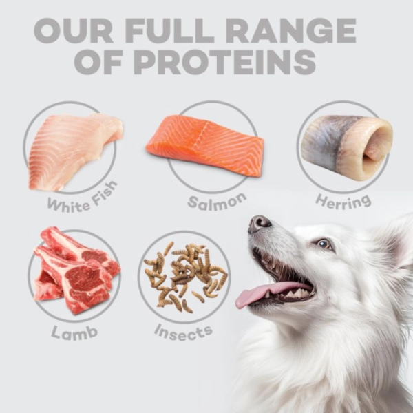 Nature's Protection SC White Dogs Junior All Breeds Grain Free Salmon dry dog food - Image 2