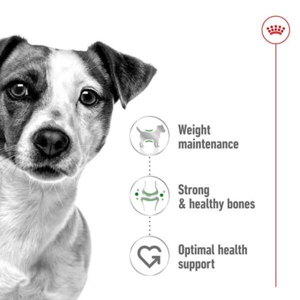 Royal Canin Mini Adult 4 kg - Image 5