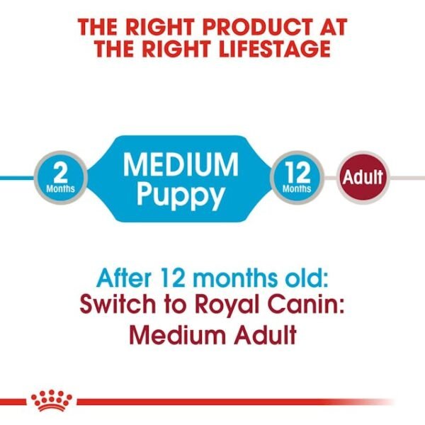 Royal Canin Wet Food Medium Puppy 140gr - Image 4