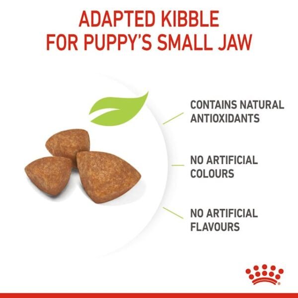 Royal Canin Xsmall Puppy 1.5 gr - Image 4